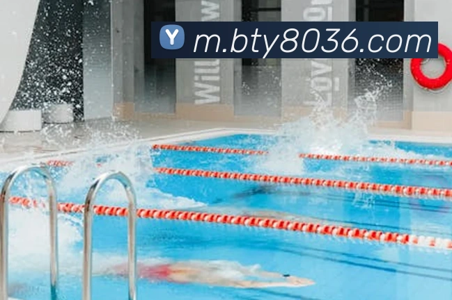 B体育APP 封面图